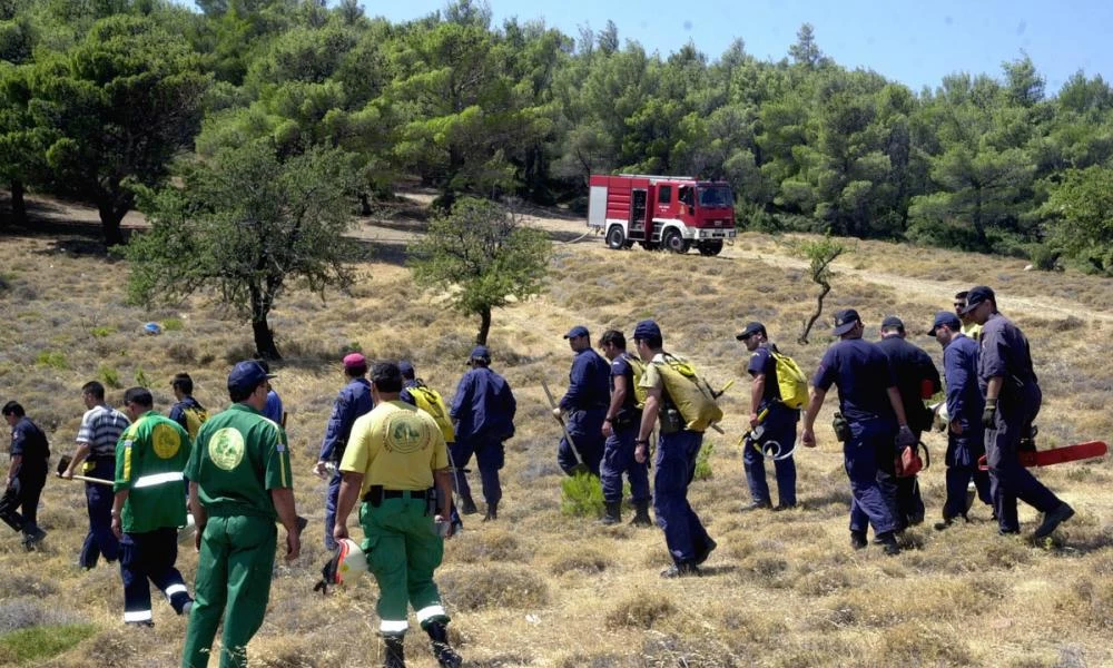 Οι θέσεις του Πανελληνίου Σωματείου Ειδικών και Τεχνικών Δασικής Προστασίας για τις πυρκαγιές